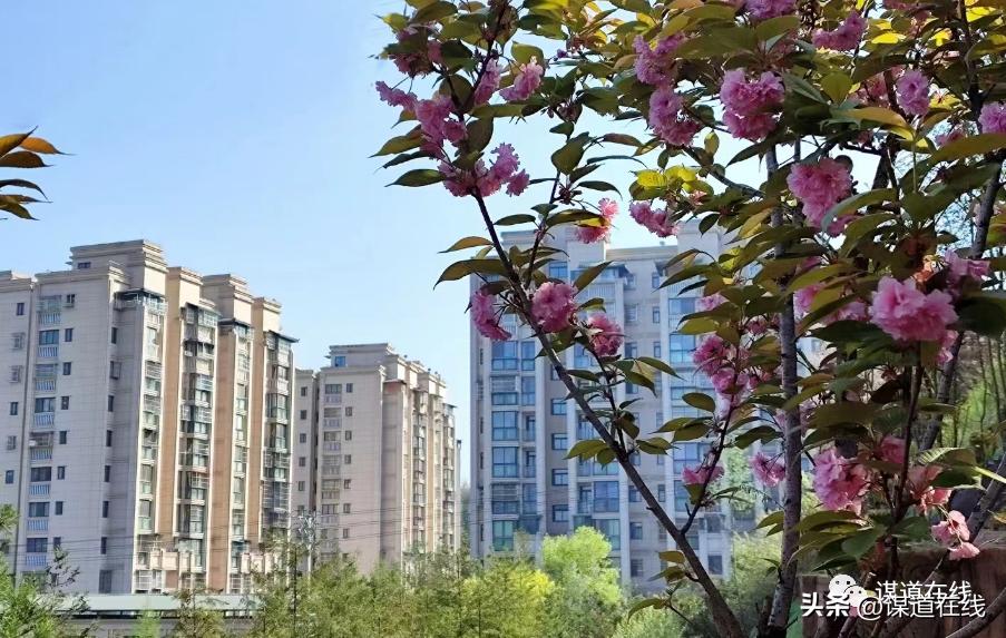 苏马荡人气旺,苏马荡五一