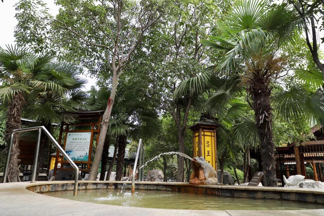 冬游美食推荐,冬游美食季