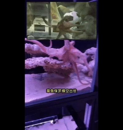 世界杯冠军首场翻车,世界杯输球过程