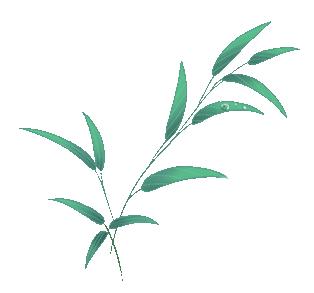 写秋月美景最好的古诗句,赞美秋月夜景的古诗词