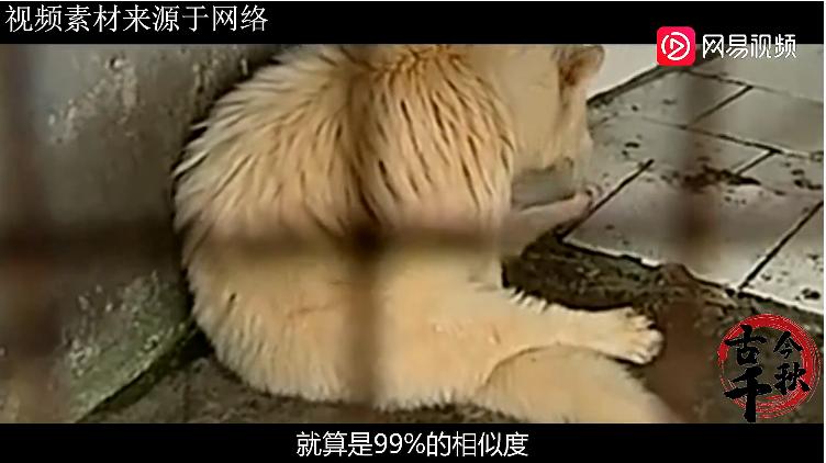 江西老汉活捉神兽,江西老汉捉到不明动物