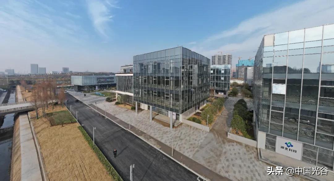 光谷生物城武汉国家生物产业基地,光谷生物城生物创新园冲刺竣工