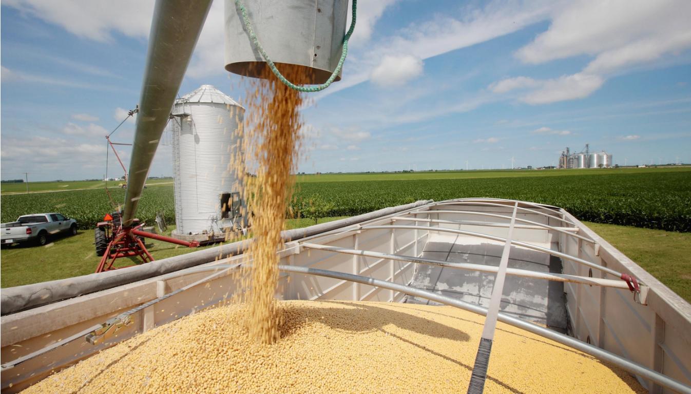 好消息！中国大豆进口高度依赖美国，普京：可向中国大量出口大豆