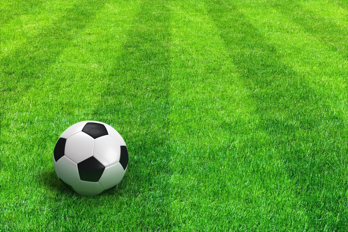 足球场看台下面的位置是随意的吗,足球场看台区域图解