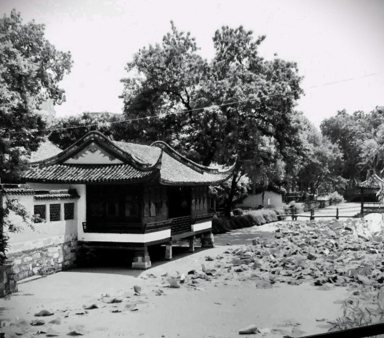 高中同学视频回忆录,高中生同学回忆录