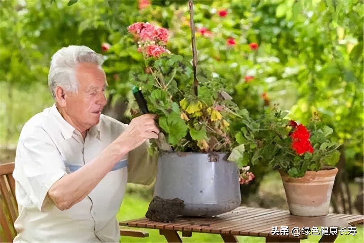 园艺疗法的主要对象,园艺治疗师前景