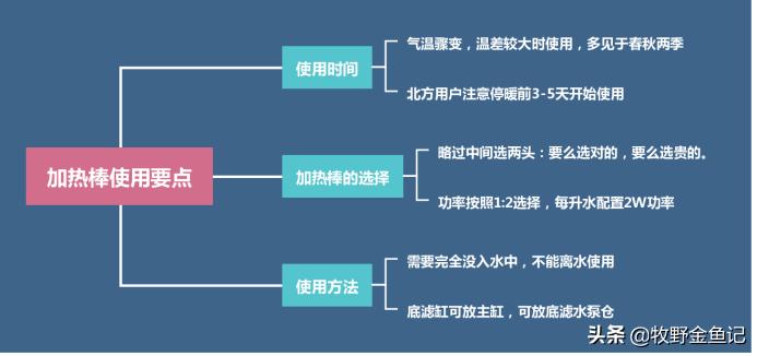 养金鱼冬天需要加热棒吗,家养金鱼冬天需要加热棒吗