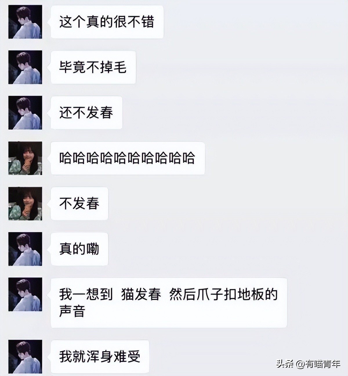 养猫省钱妙招排毛球,养猫不掉毛妙招有哪些方法