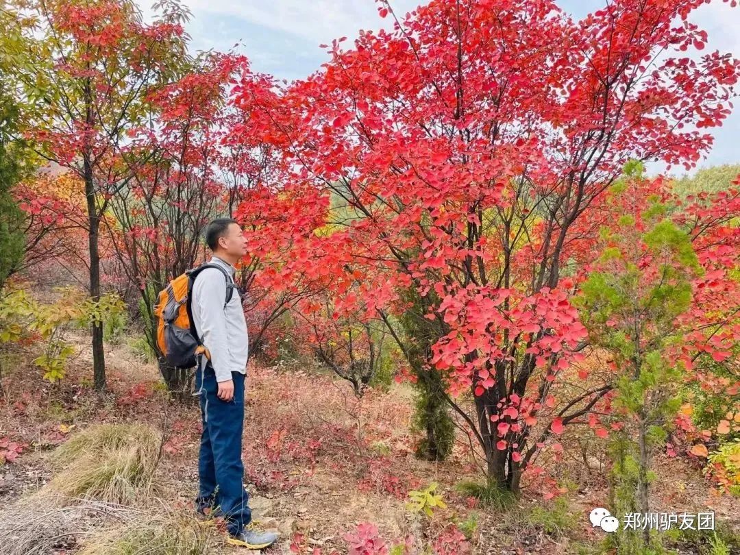 郑州最近赏红叶最佳的地方,靳家岭红叶和长寿山红叶哪个好看