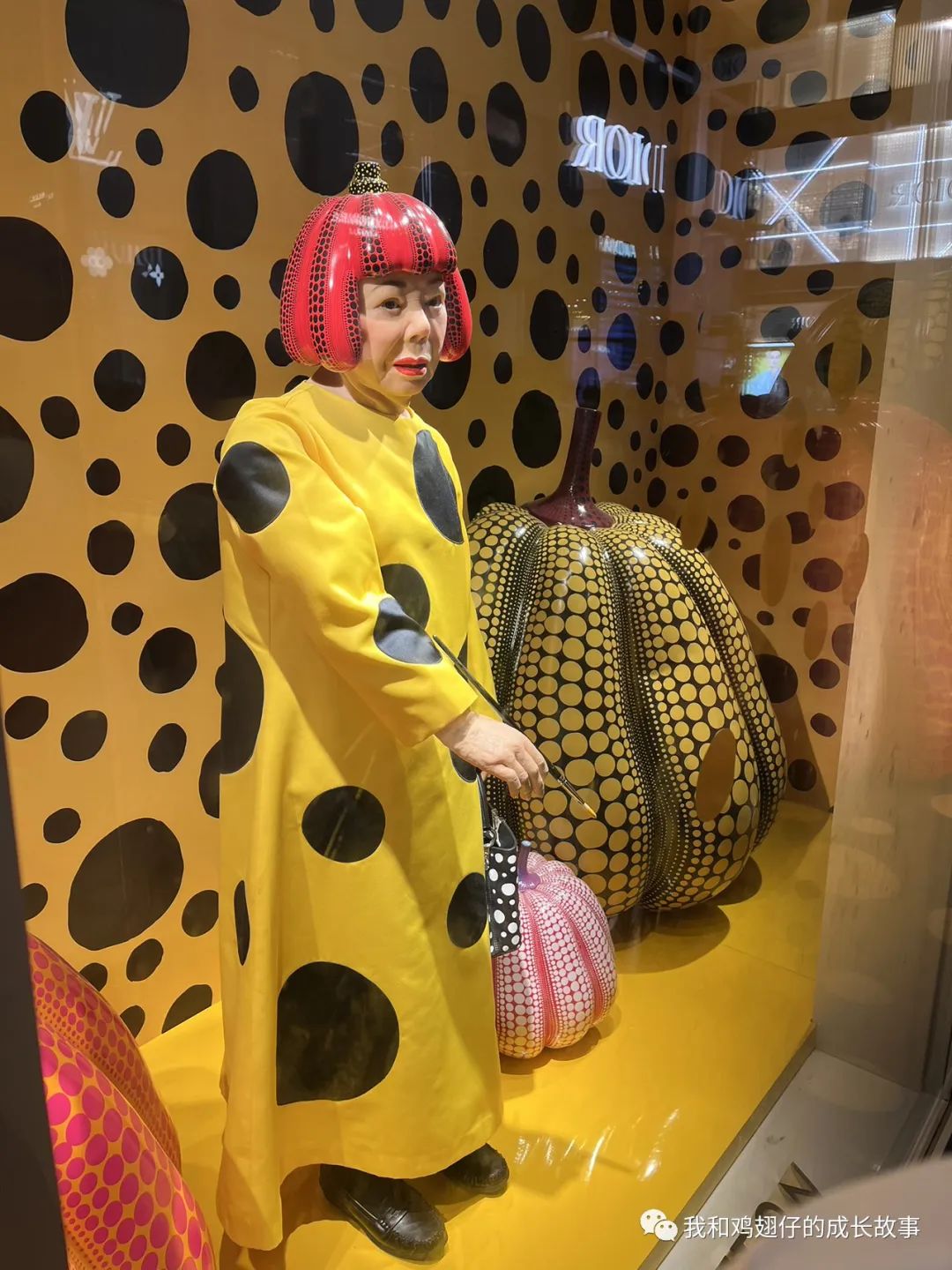 成都中和美食推荐排行榜前十名,成都建设路美食一条街详细地址