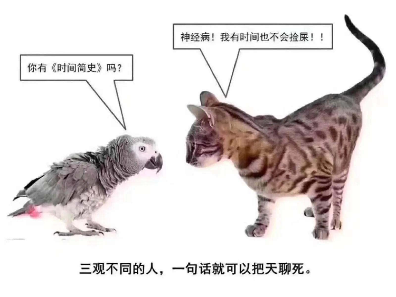 人们常说的三观是什么,我们平常所说的三观是什么呢