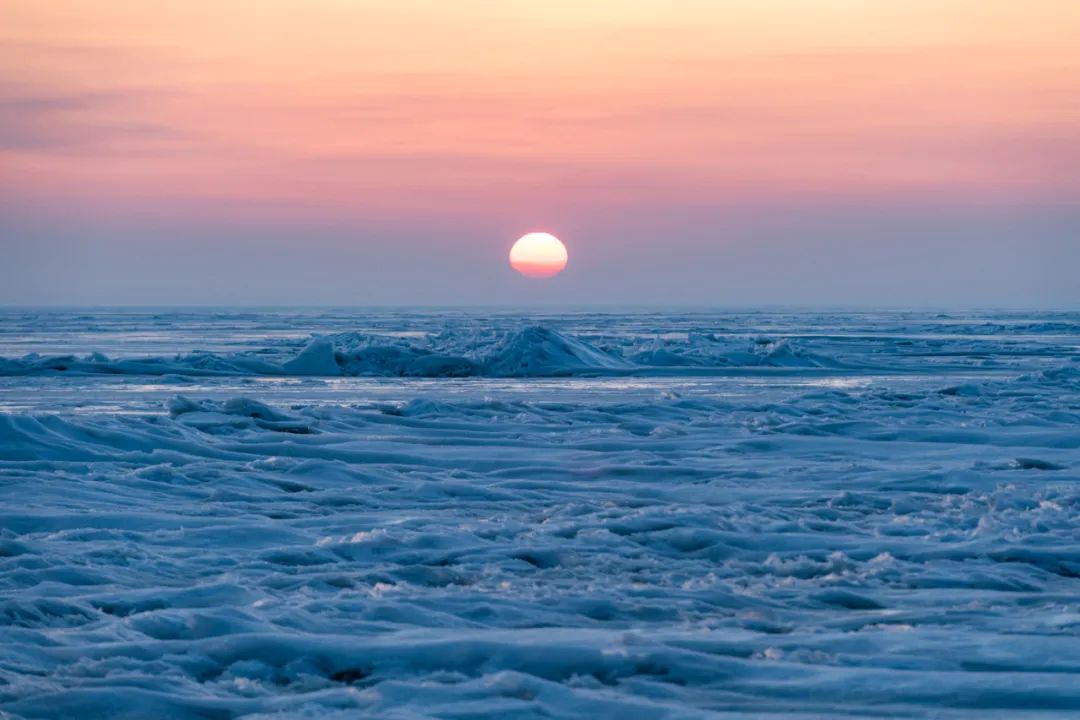 为什么说兴凯湖大白鱼是世界名鱼,兴凯湖大白鱼新鲜美味