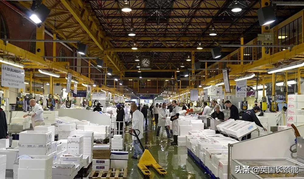 在英国怎么在网上买东西,英国海鲜刺身哪里买