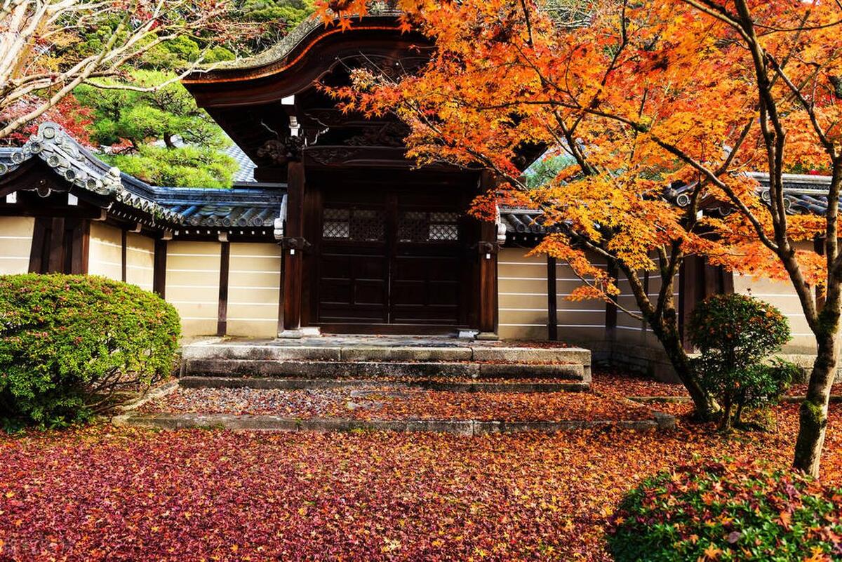 东京豪宅真实生活,住在东京的日本人