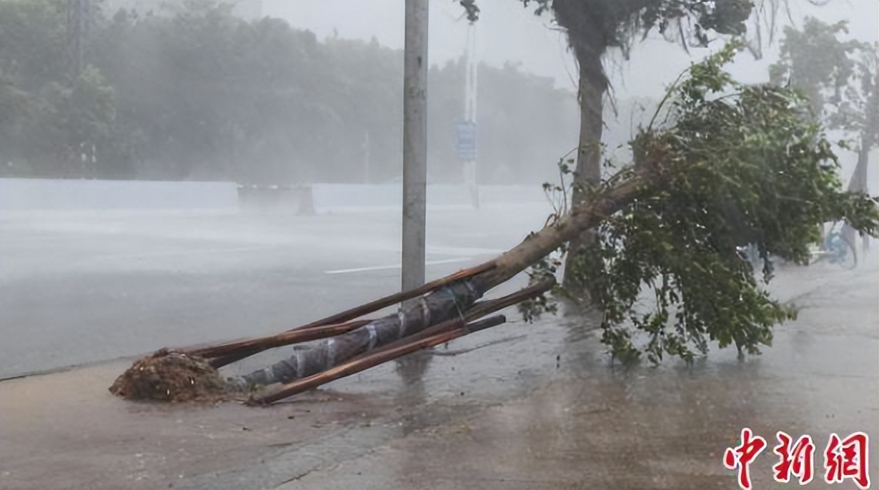 永威金桥西棠10亿监管资金,永威金桥西棠追回挪用资金