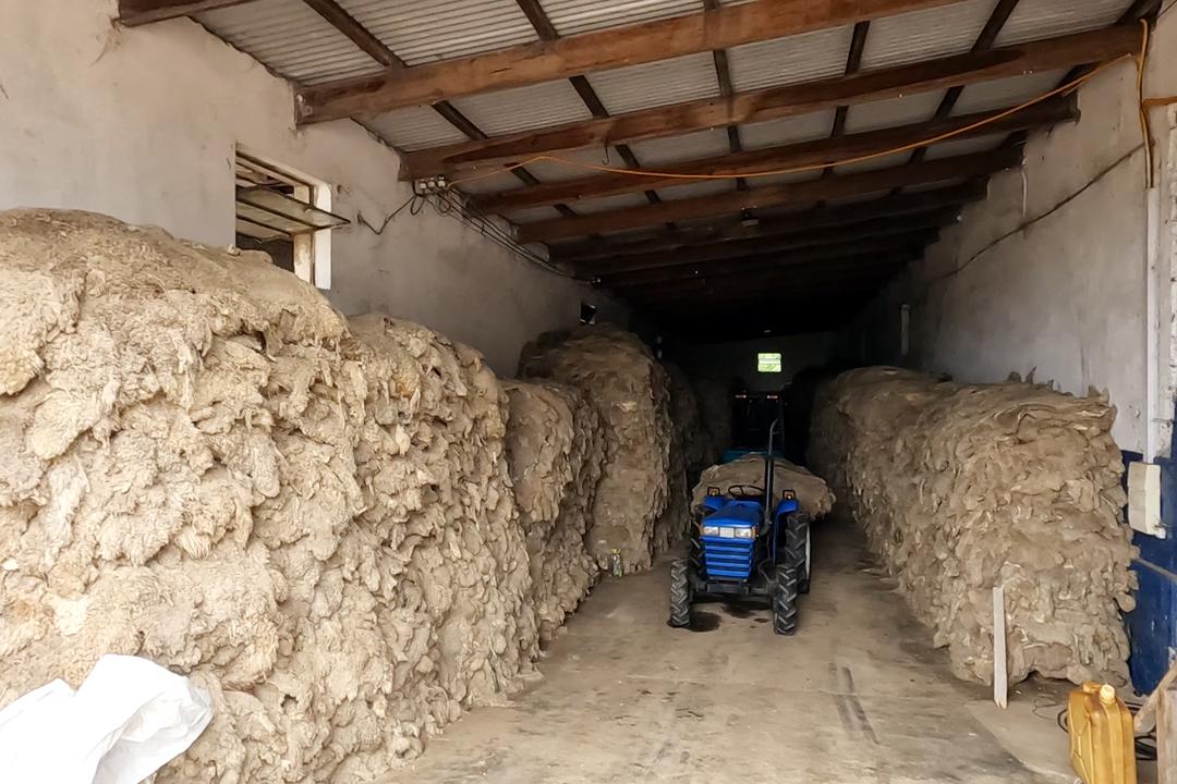 乌拉圭女老板出口羊皮，做成UGG价格翻100倍，成本才2美金