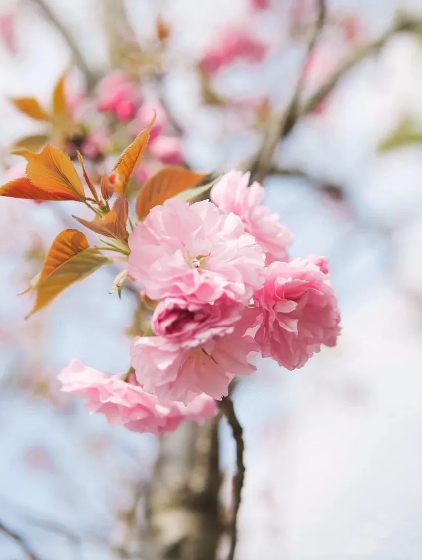 港剧那些年追过的剧,好港