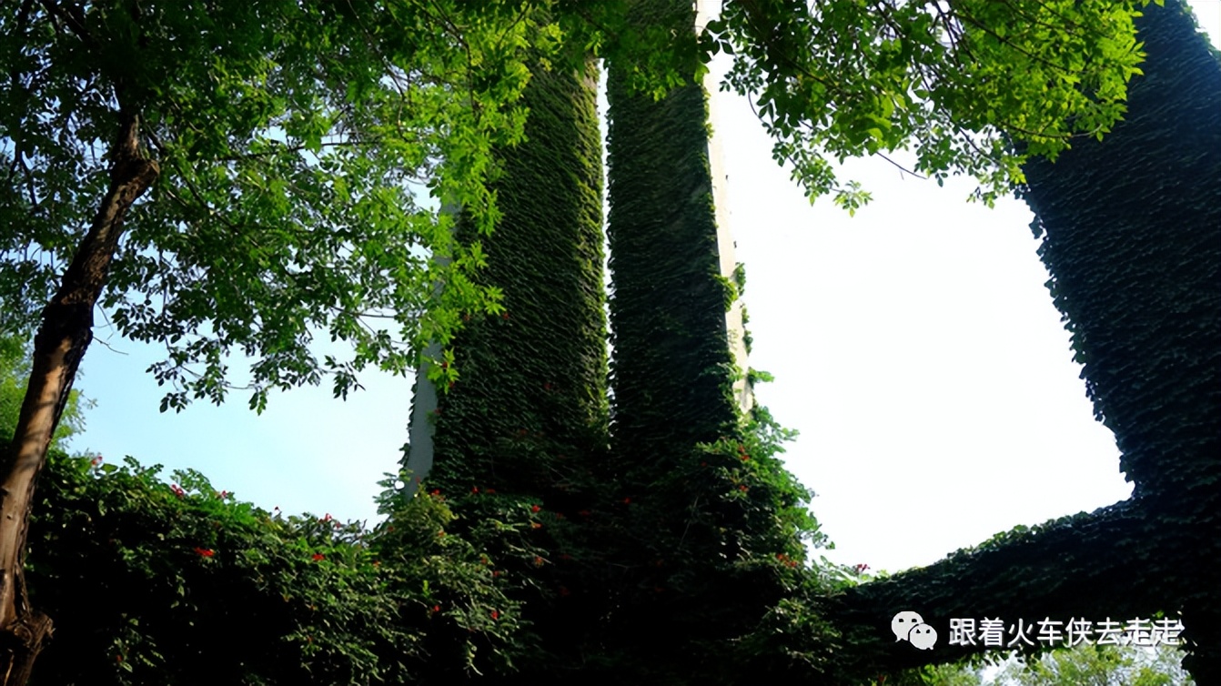 老天津读历史，新天津新全运（四）——天津大学（下）