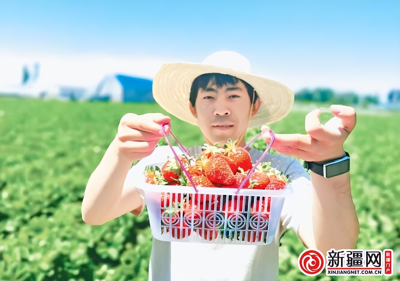 农业大学与乡村振兴,新疆农业大学农村发展课程表