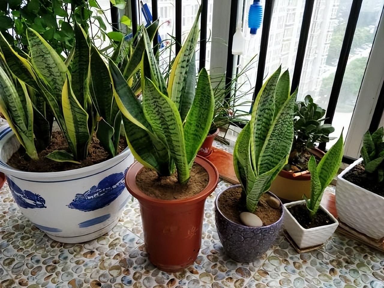 房子装修十大血泪教训,装修犯的八个通病