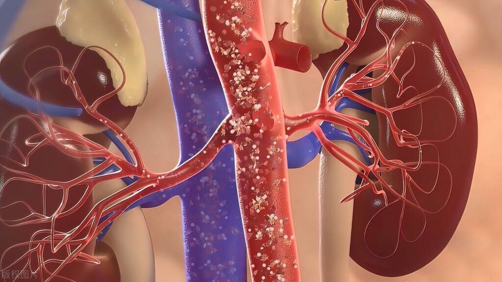 为何男人容易肾虚？3个因素或是“罪魁祸首”，男女都该知道