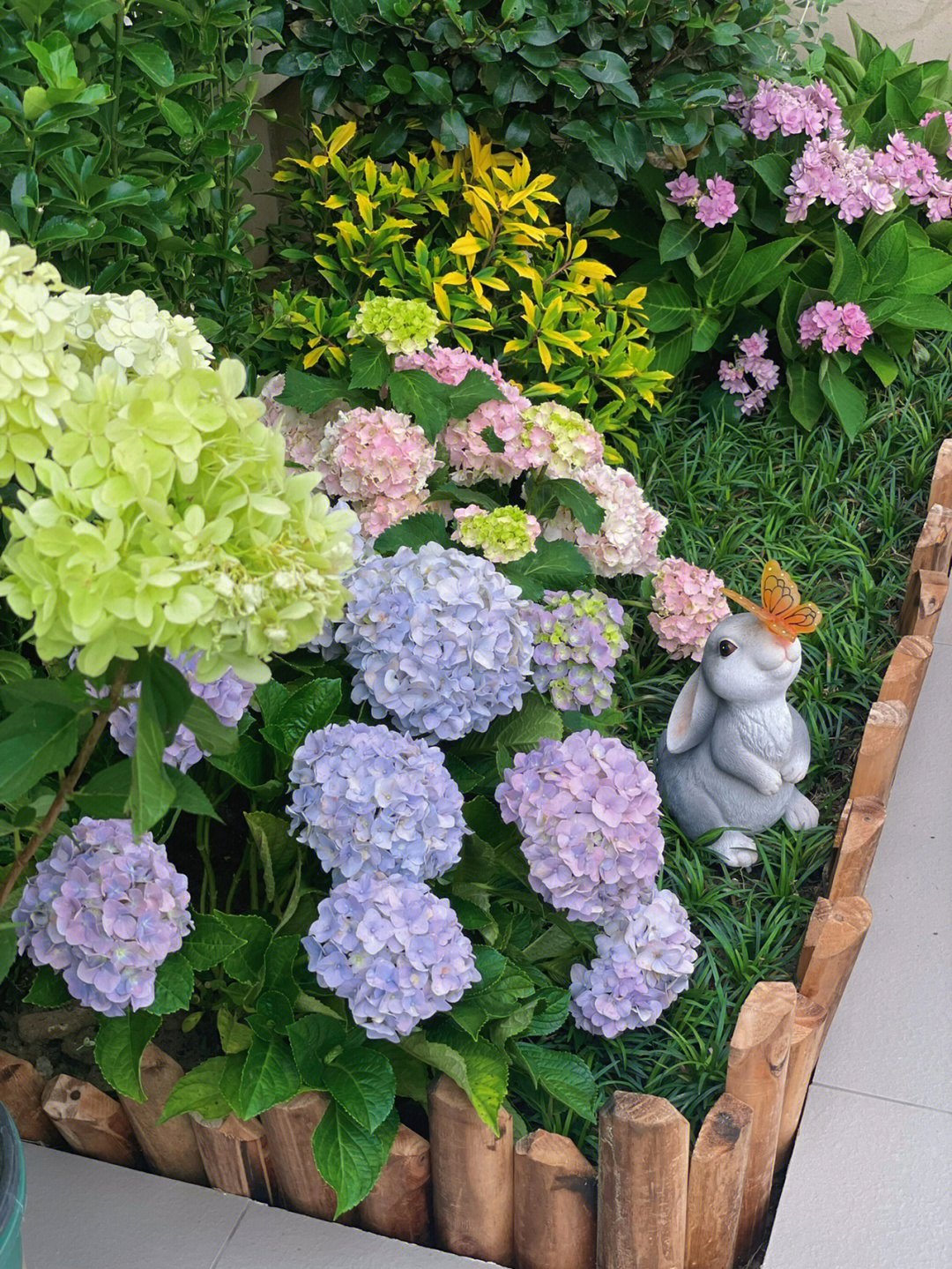 一楼小庭院改造效果图,花费6000元改造180平的农家小院