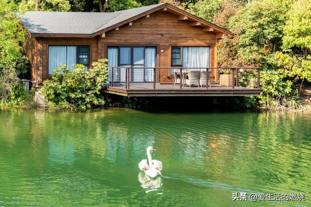 杭州森泊开元度假酒店不含门票,杭州开元森泊度假酒店存在的问题