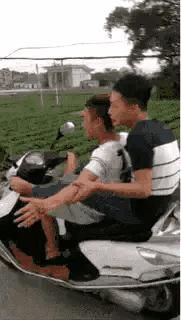 爆笑的动图,爆笑动图大集锦