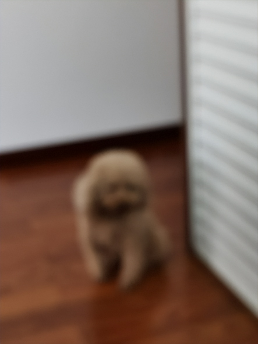 模糊图片变清晰的软件免费,模糊图片变清晰免费神器