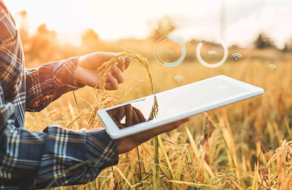 蓝牙为什么取名叫蓝牙,蓝牙技术命名由来