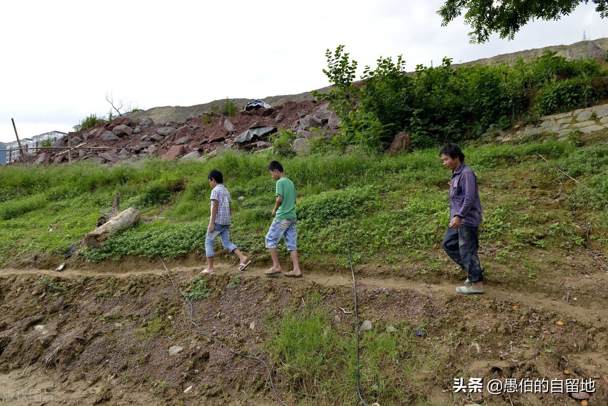 窝囊的父亲张正直原文,窝囊的父亲完整版