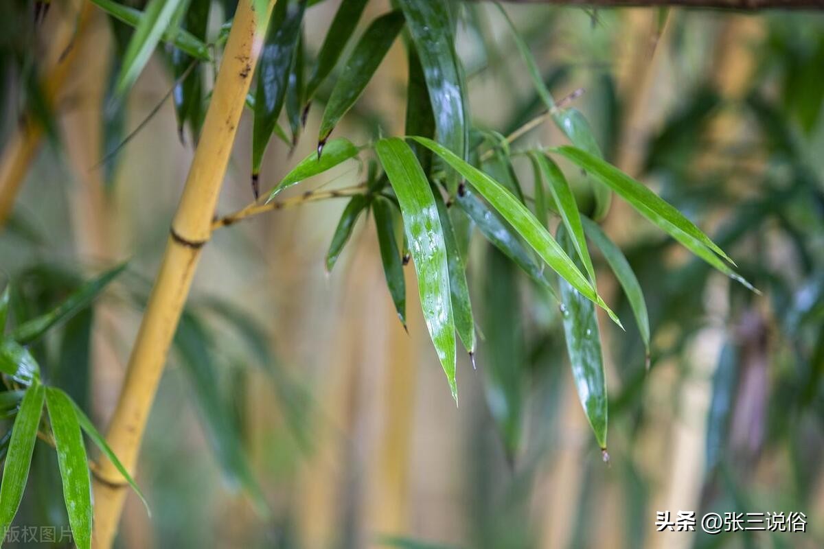 五月十五大端午，记得“端午藏正午，即望莫远游”：有啥说法？