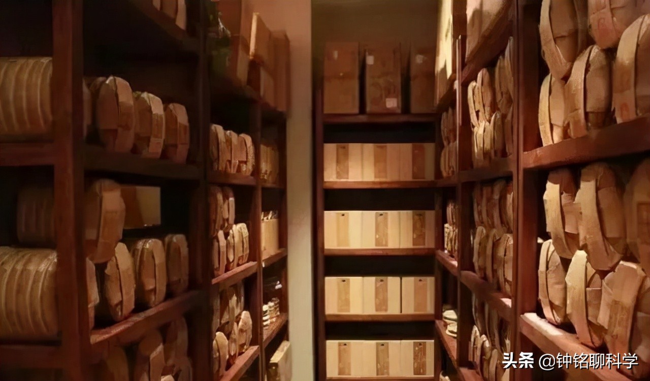 十多年的普洱熟茶还能喝吗有毒吗,普洱茶熟茶15年能喝吗