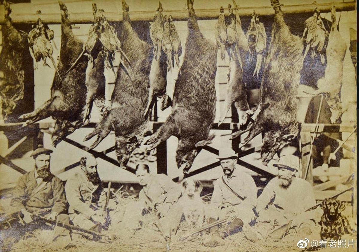 日本侵略暴行残忍事件,日本侵华暴行惨案