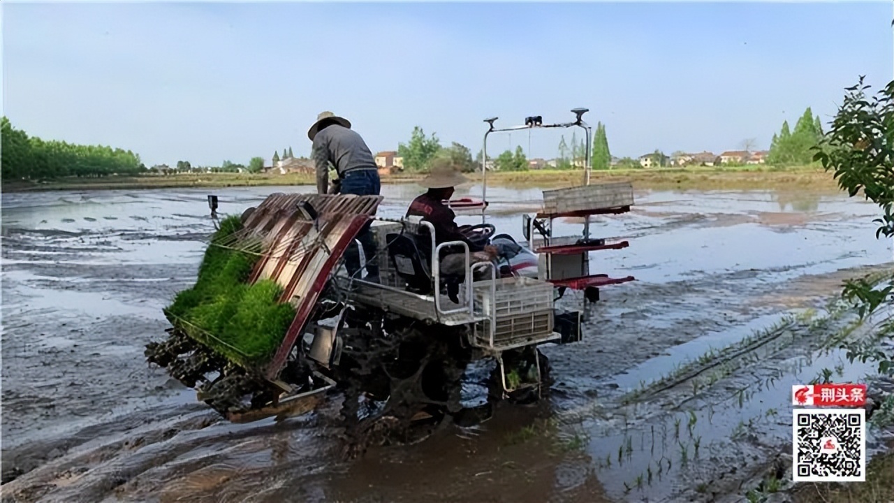 从发展实践看乡村振兴,沿红色足迹探索乡村振兴密码
