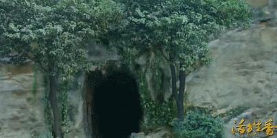 一个比一个廉价，辱智的五毛特效，但凡上点心都做不出这种东西