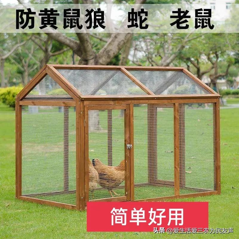 黄鼠狼害人怎么办,黄鼠狼祸害庄稼吗