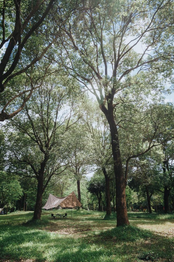 惠州罗浮山周边民宿推荐,惠州罗浮山浮生六记民宿