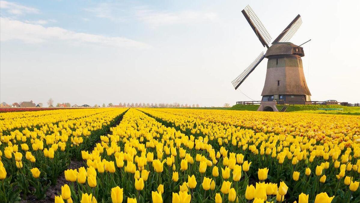 风电光伏为什么称之为垃圾电,为什么很多地方在拆除风电