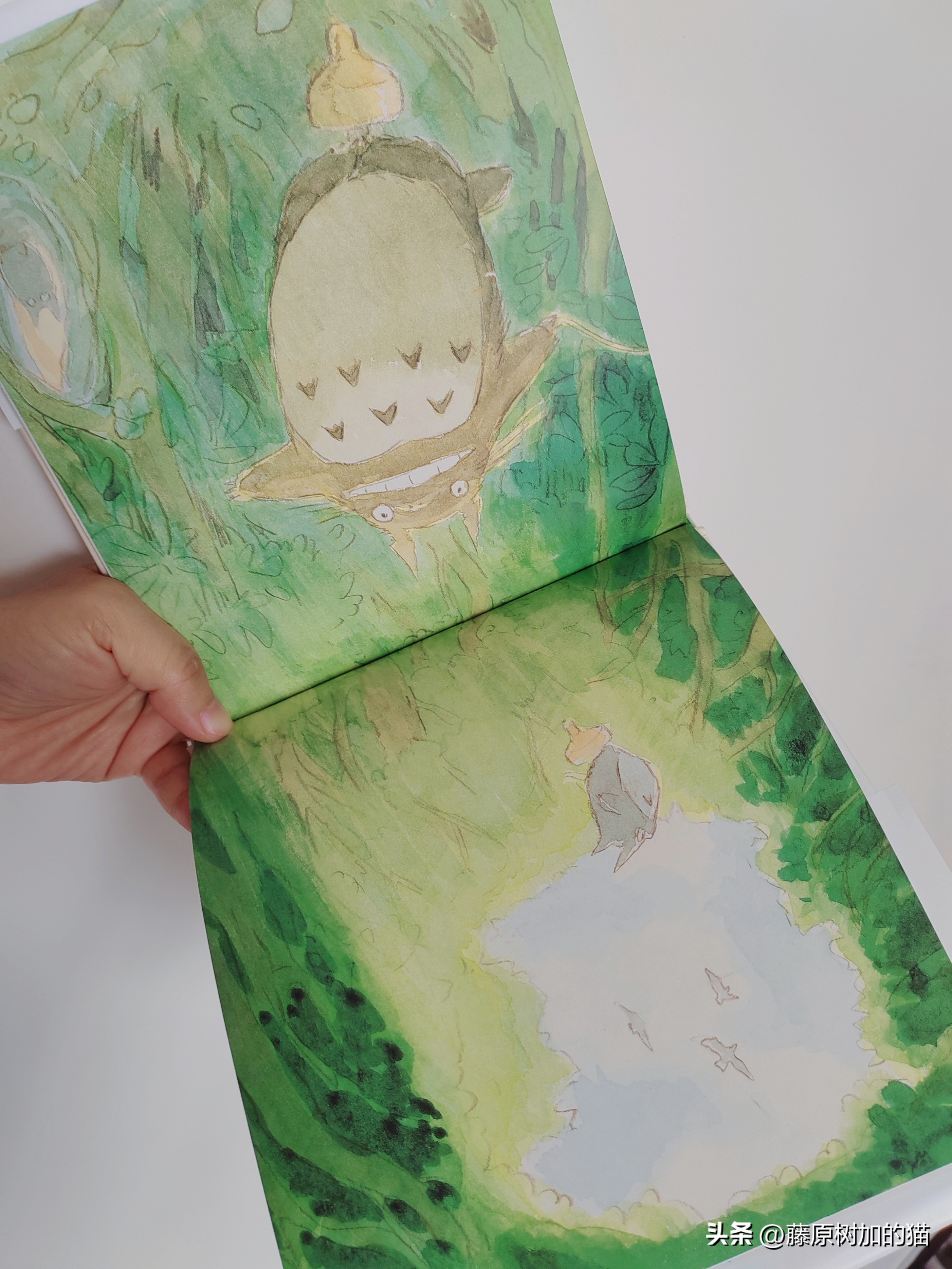 宫崎骏漫画里的龙猫原型 (宫崎骏龙猫一家图片)