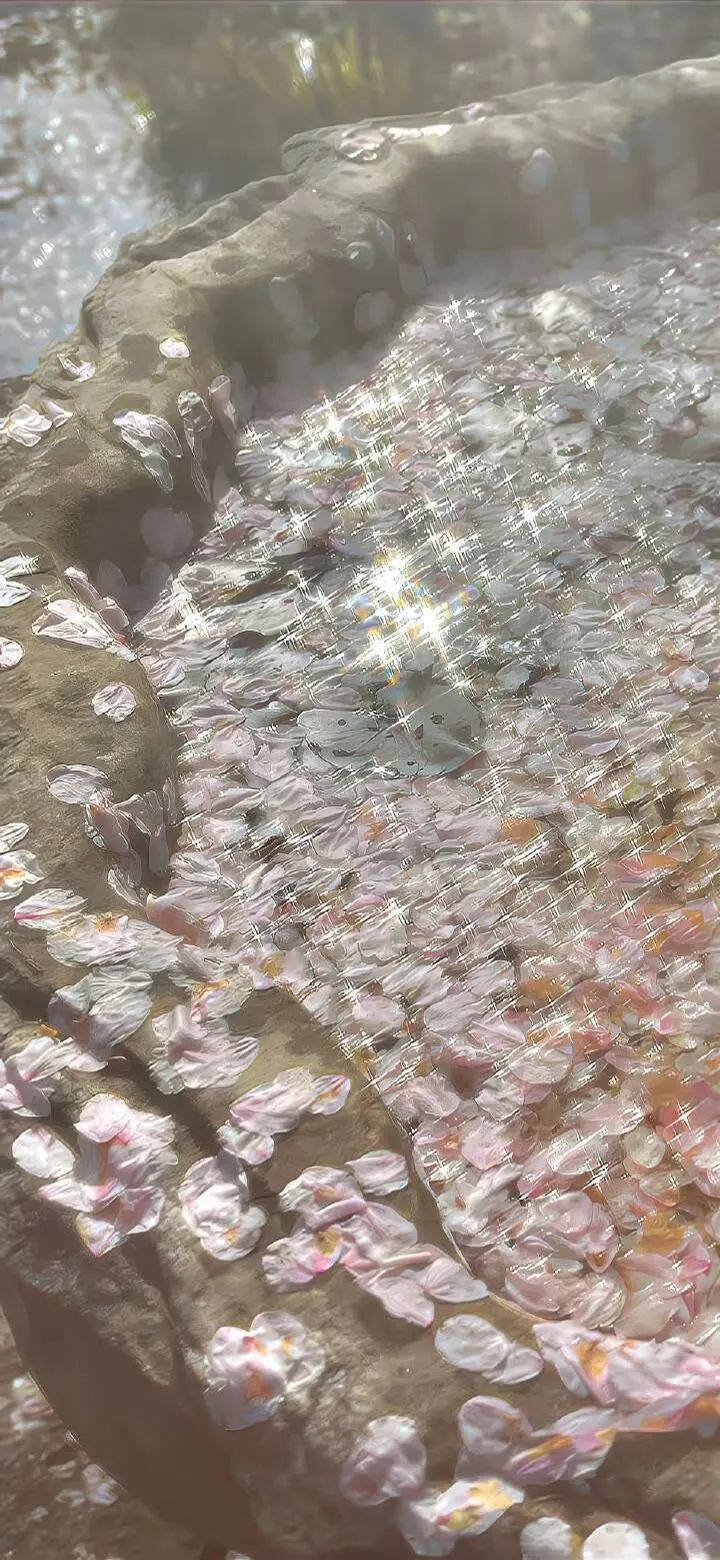 壁纸超清4k幸运壁纸,阴阳师壁纸动态壁纸高清全屏90帧