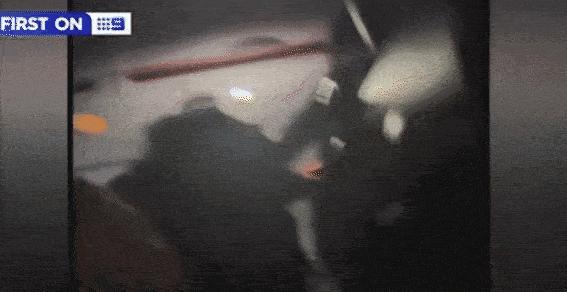 “飞机上怎么会有蛇”?美国一航班发现束带蛇,乘客:蛇咋来的?