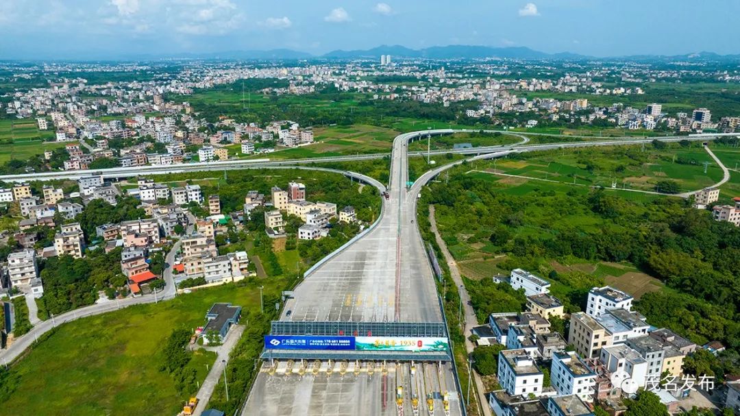 绿美广东信宜,绿美广东茂名短视频