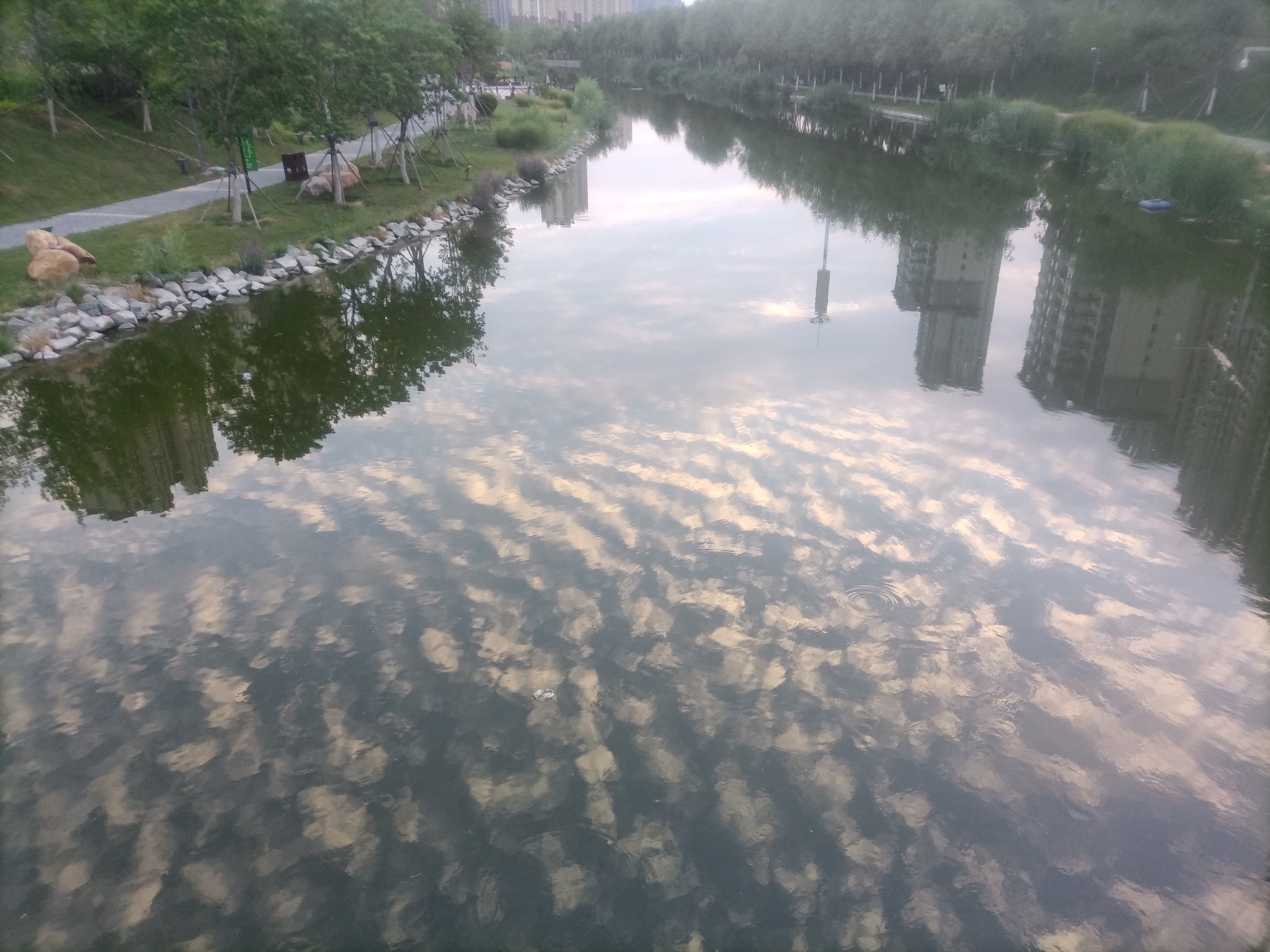 菏泽：你知道“天空鲤鱼斑，明天晒谷不用翻”的意思吗？