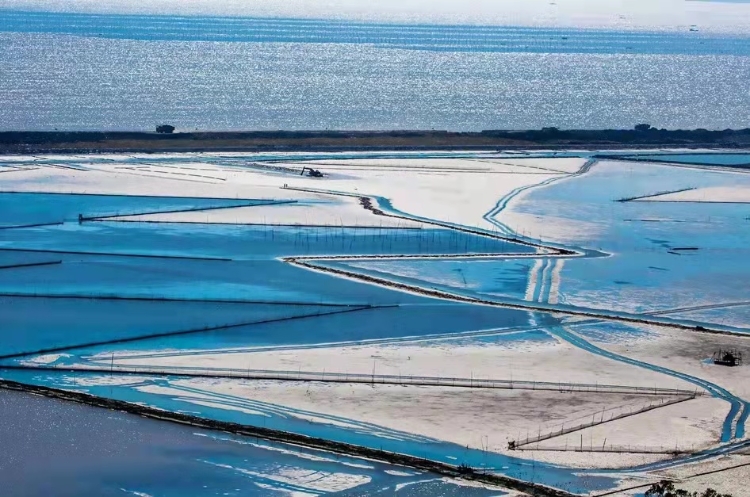 温州一日游必去的地方,温州必去旅游景点有哪些