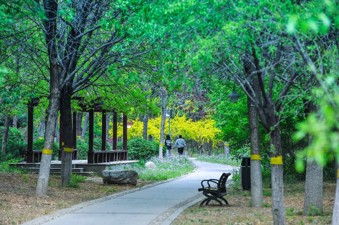 津北森林公园游玩攻略,津北森林公园和北宫森林公园比较