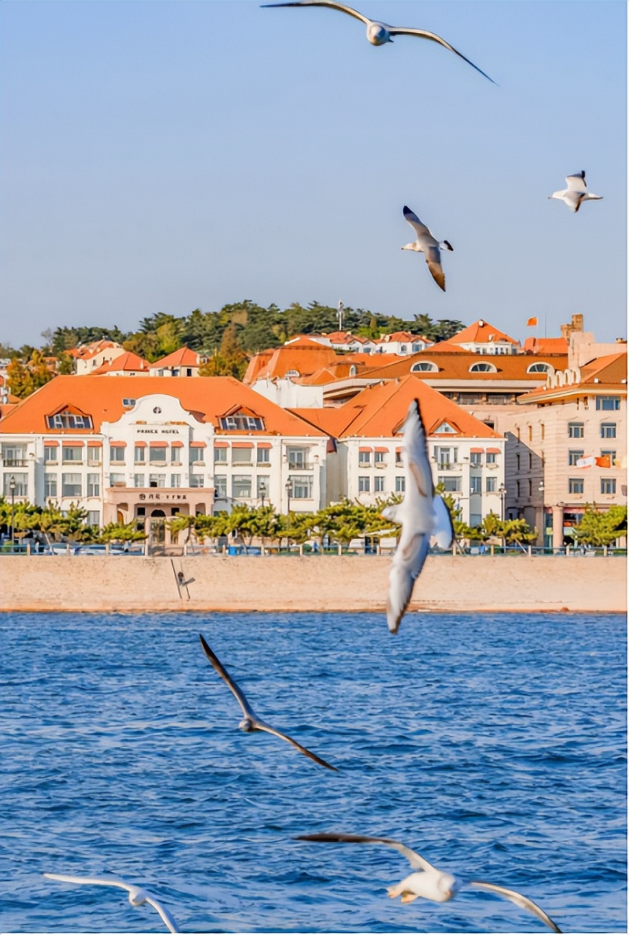 冬季山东十大美景,旅游山东最值得去的地方冬季