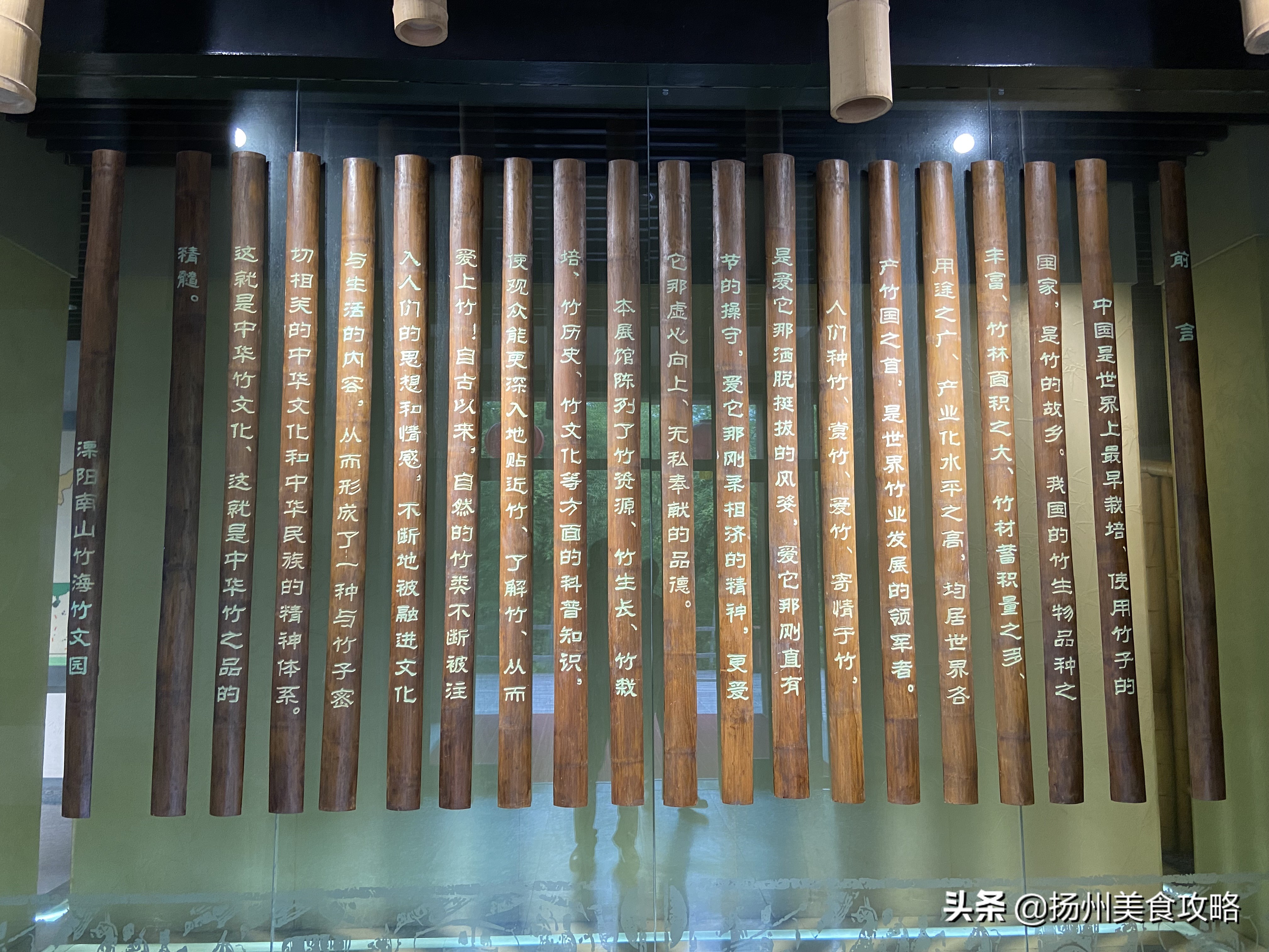 天目湖南山竹海附近游玩,常州天目湖南山竹海免费