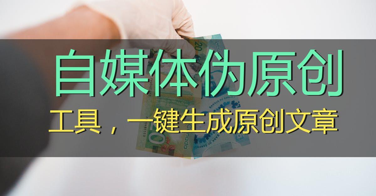 自媒体一键伪原创免费软件,原创度百分之80的伪原创工具