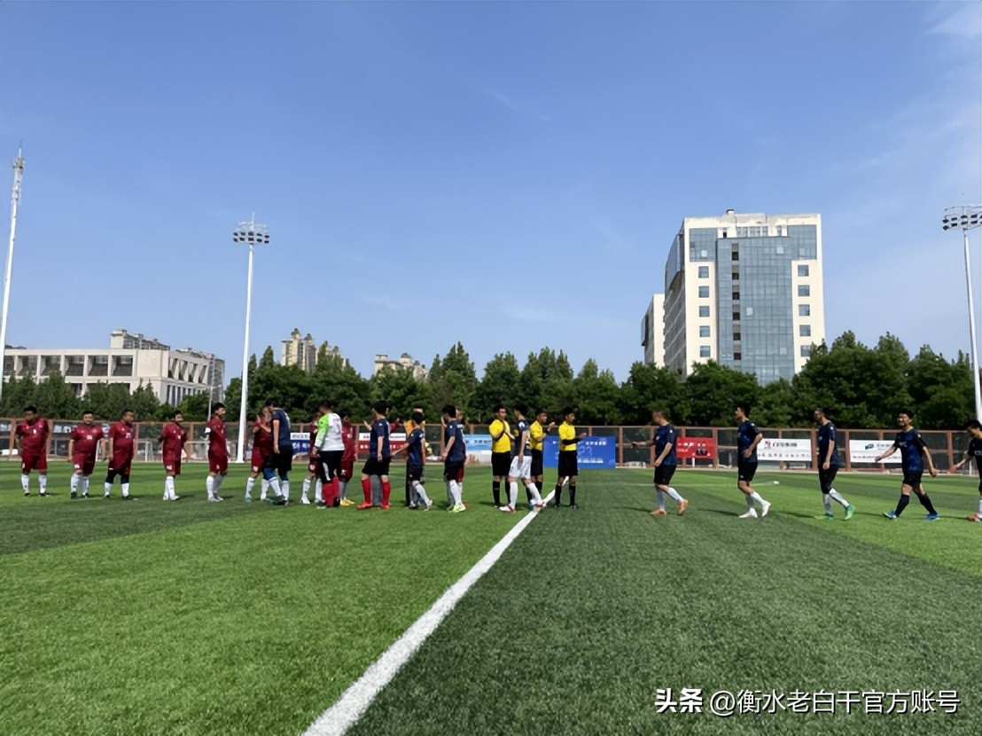 衡水老白干篮球赛,衡水老白干篮球杯